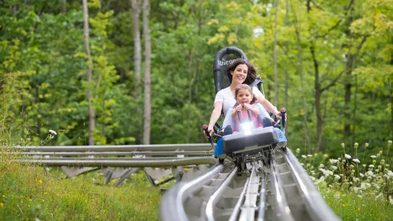 Ridge Runner Mountain Coaster