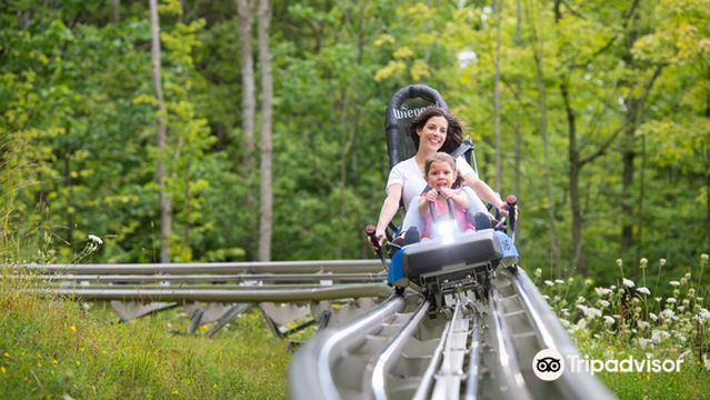 Ridge Runner Mountain Coaster