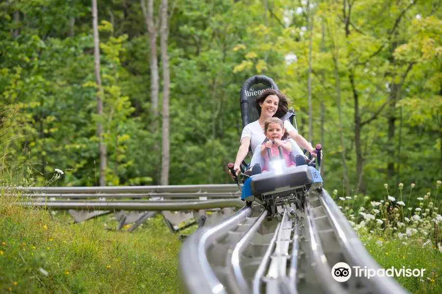 Ridge Runner Mountain Coaster