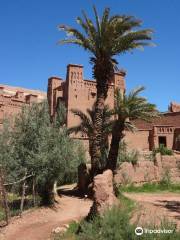 Camel Trekking Path