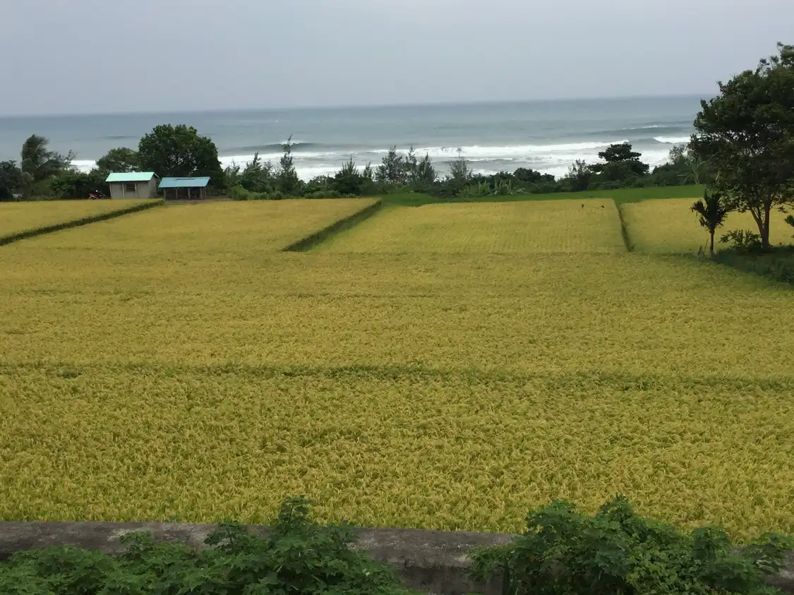 長光梯田周辺のホテル