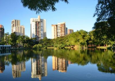 Bosque dos Buritis