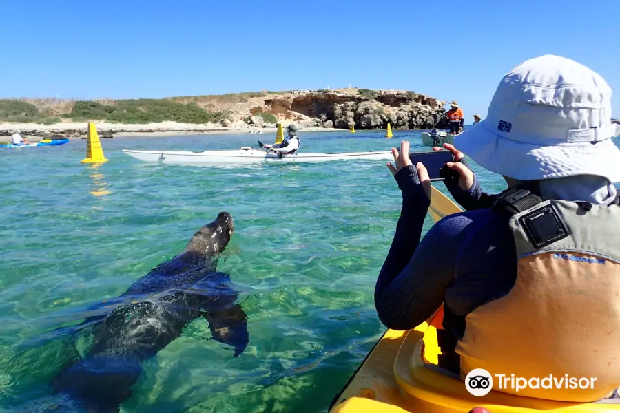 Capricorn Seakayaking