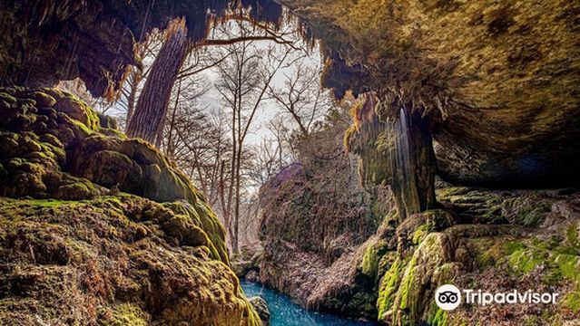 Westcave Outdoor Discovery Center