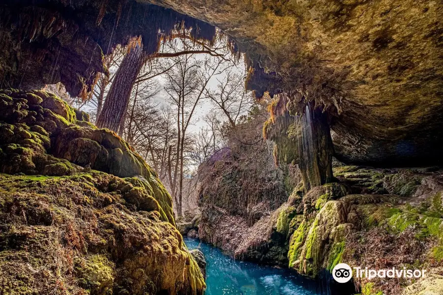 Westcave Outdoor Discovery Center