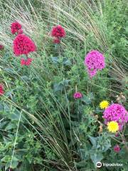 Kinmel Dunes Local Nature Reserve