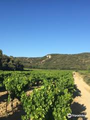 Domaine Le Clos du Bailly