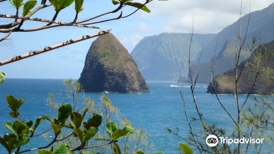 Molokai Mule Ride