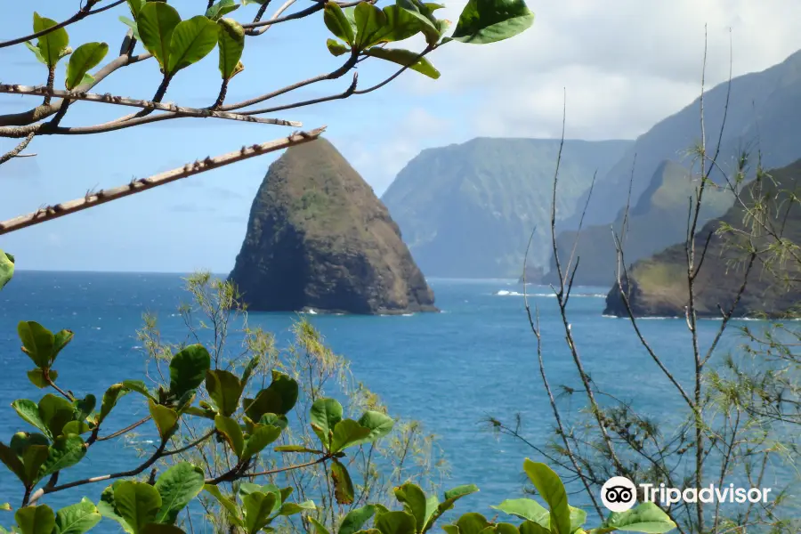 Molokai Mule Ride