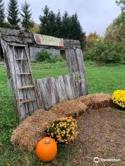 Log Cabin Orchard, Fresh Cut Christmas Trees