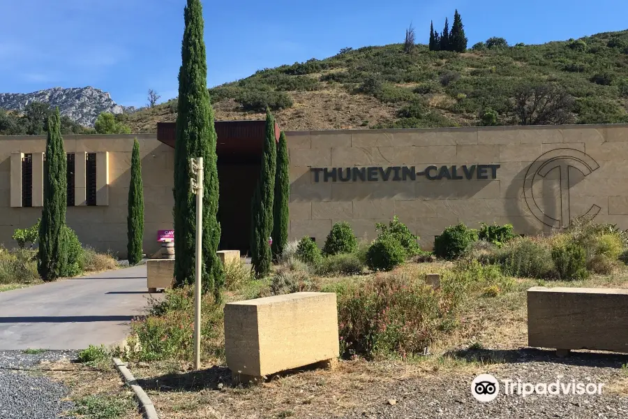 Domaine Thunevin Calvet