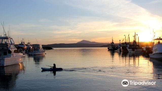 Sapphire Coast Buslines
