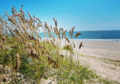 Sullivan's Island