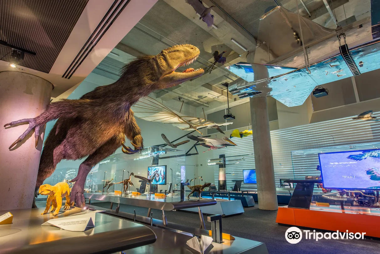 4_Phillip & Patricia Frost Museum of Science