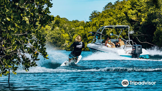 Tribe Watersports School