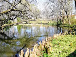 National Botanical Garden