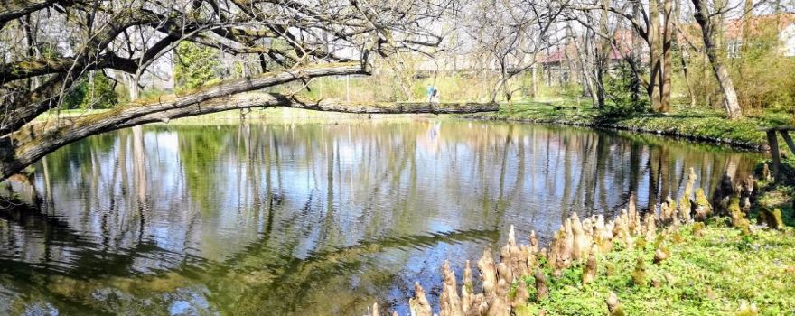 National Botanical Garden