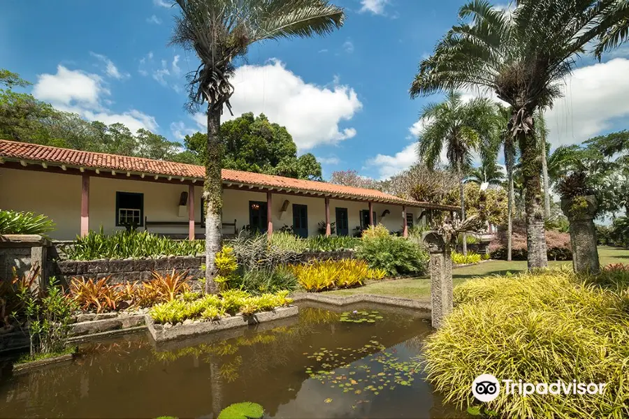 Sitio Roberto Burle Marx