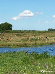 RSPB Lakenheath Fen