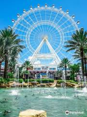 The Wheel at ICON Park