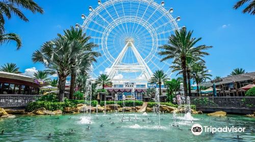 The Wheel at ICON Park