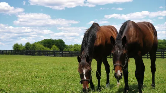 Mill Ridge Farm