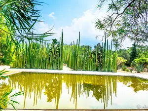 Jardín Etnobotánico de Oaxaca