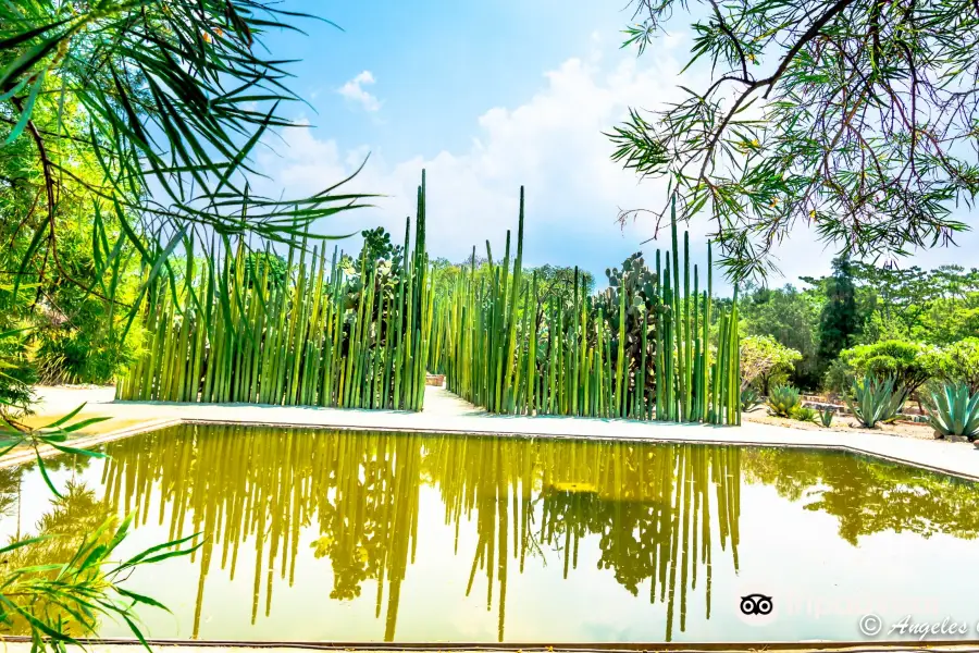 Jardín Etnobotánico de Oaxaca