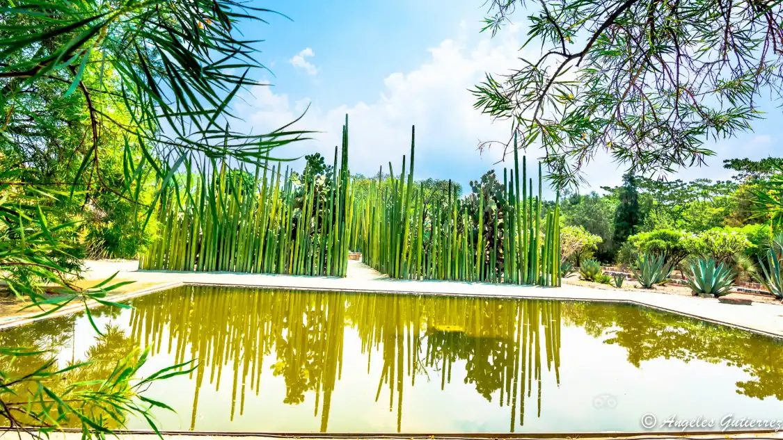Hotels near Ethnobotanical Garden