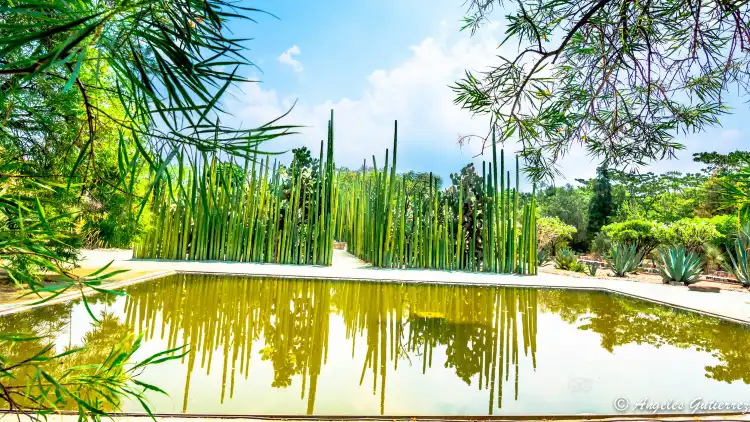 Hotels near Ethnobotanical Garden