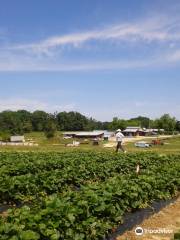 Waller Family Farm