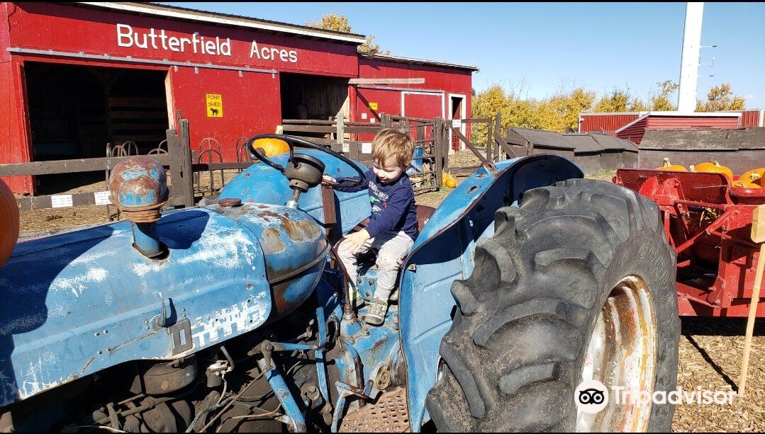 Butterfield Acres Farm