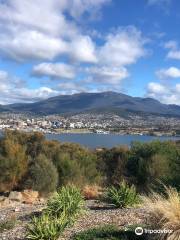 Rosny Hill Lookout