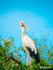 Thung Nham Bird Park