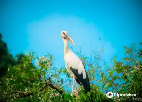 Thung Nham Bird Park