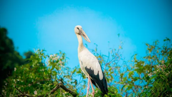 Thung Nham Bird Park