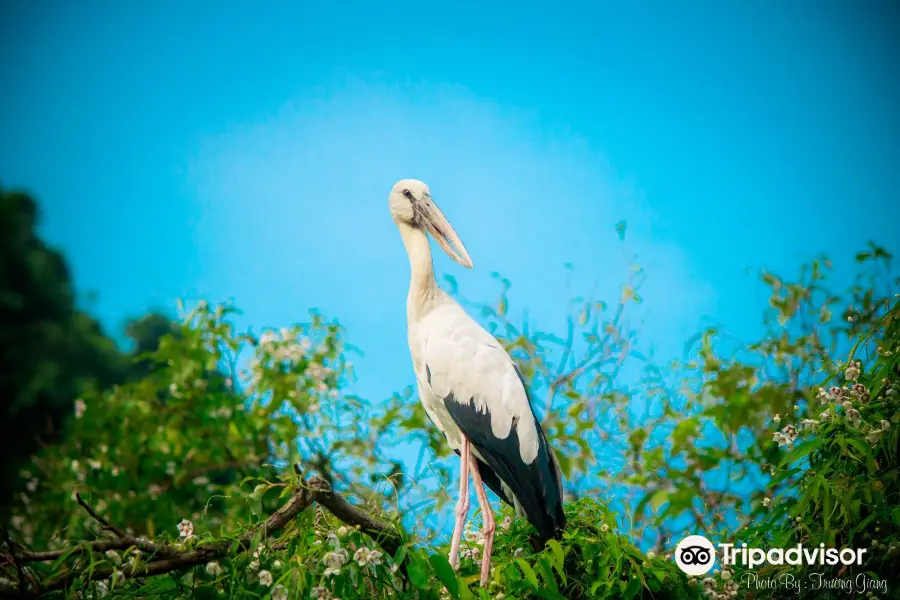 Thung Nham Bird Park