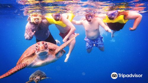 Barbados Snorkeling Tours by Hayden Browne