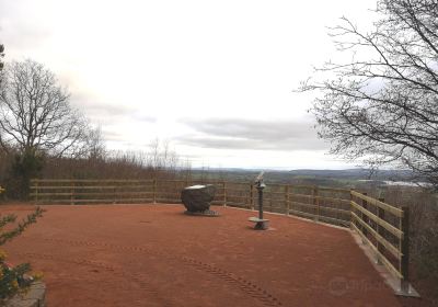 Queenswood Country Park & Arboretum