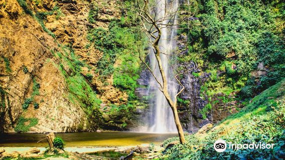 Wli Waterfalls main office