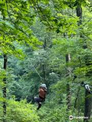 Grafton Zipline Adventures