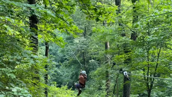 Grafton Zipline Adventures