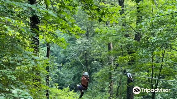 Grafton SkyTour at Aerie's Resort