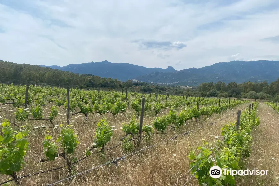 Colline del Vento