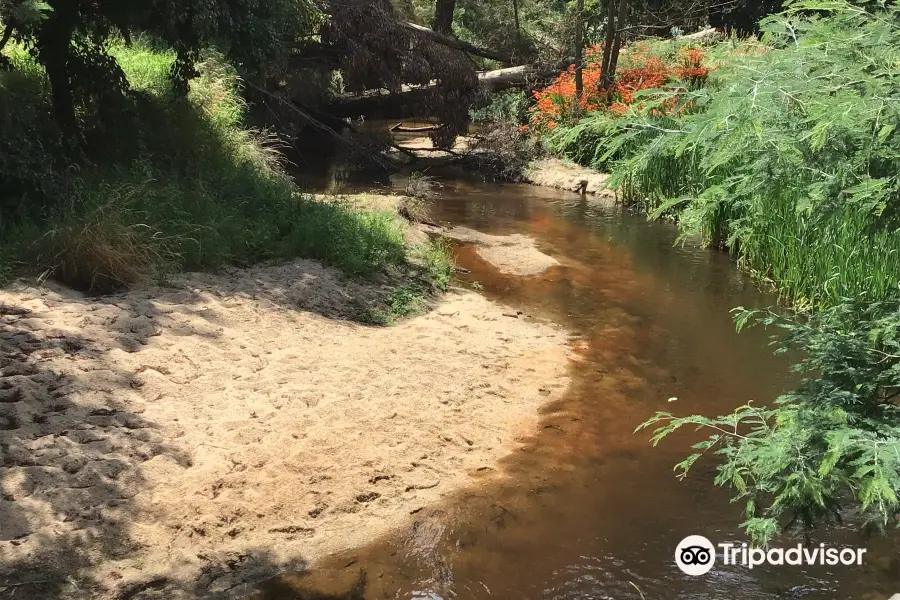 Franklin River Reserve