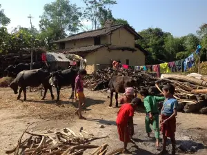 Chitwan Tharu Village