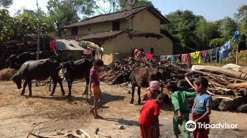 Chitwan Tharu Village