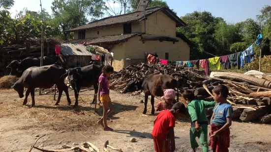 Chitwan Tharu Village