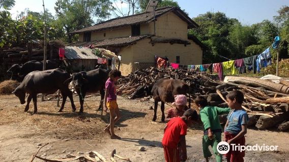 Chitwan Tharu Village