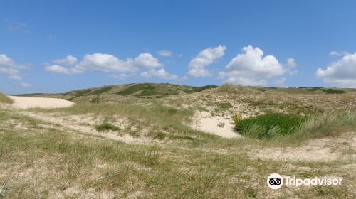 Dunes d'Hattainville